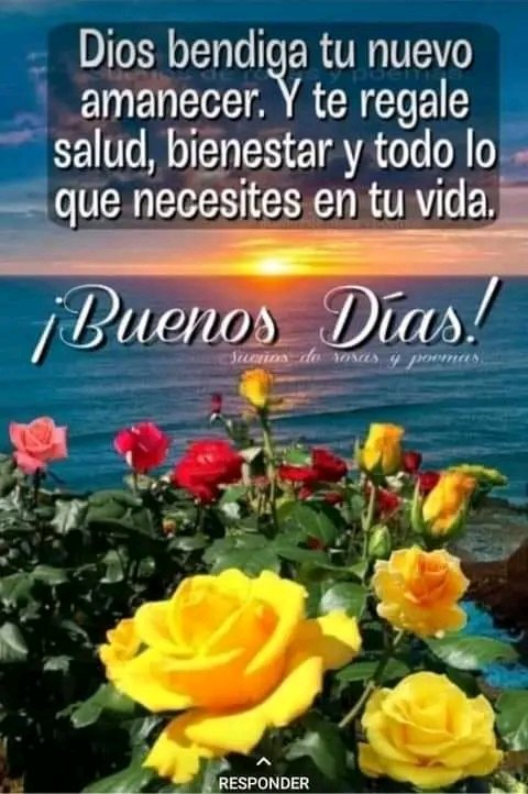 Iralisail. Carballo (@iralisailc) on Twitter photo #RenacimientoDelSur
  <a href="/IralisailC/">Iralisail. Carballo</a> <a href="/ApureHumana/">GESTION HUMANA INIA APURE</a> <a href="/Aolivero2002/">Aiskel Olivero</a> <a href="/jesus372333/">mildre</a> <a href="/EGMorenoR/">Esio Moreno</a> <a href="/Evangel08625120/">🌹Evangelina🌹💞💫💯</a> <a href="/ErikOliver2002/">Erika Olivero</a>  <a href="/twiteroejido/">💯🐦💪juan carlos🇻🇪🥇🐦💯</a>  @nanunsc2 <a href="/Mippcivzla/">MIPPCI</a> <a href="/MirnaGiralit/">Mirna Giralit Olivero</a> <a href="/JhosepTaipan/">@TaipanJhosep</a> <a href="/rosales69/">Edgar.A.R.R</a> <a href="/YarytzaR6/">Yarytza</a> <a href="/magopuki/">Manclar</a> <a href="/TrejoNelvis/">Nelvis</a> <a href="/Nelsontrejo92/">Nelson Trejo</a> <a href="/yoibelin1/">yoibelin</a> 
<a href="/thania81205760/">thania</a> #RenacimientoDelSur
  <a href="/IralisailC/">Iralisail. Carballo</a> <a href="/ApureHumana/">GESTION HUMANA INIA APURE</a> <a href="/Aolivero2002/">Aiskel Olivero</a> <a href="/jesus372333/">mildre</a> <a href="/EGMorenoR/">Esio Moreno</a> <a href="/Evangel08625120/">🌹Evangelina🌹💞💫💯</a> <a href="/ErikOliver2002/">Erika Olivero</a>  <a href="/twiteroejido/">💯🐦💪juan carlos🇻🇪🥇🐦💯</a>  @nanunsc2 <a href="/Mippcivzla/">MIPPCI</a> <a href="/MirnaGiralit/">Mirna Giralit Olivero</a> <a href="/JhosepTaipan/">@TaipanJhosep</a> <a href="/rosales69/">Edgar.A.R.R</a> <a href="/YarytzaR6/">Yarytza</a> <a href="/magopuki/">Manclar</a> <a href="/TrejoNelvis/">Nelvis</a> <a href="/Nelsontrejo92/">Nelson Trejo</a> <a href="/yoibelin1/">yoibelin</a> 
<a href="/thania81205760/">thania</a>