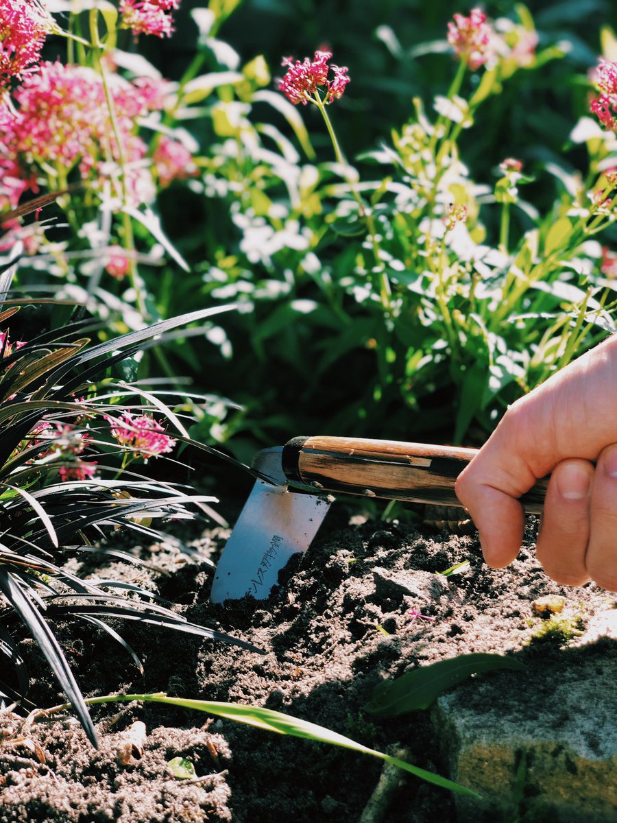 Get out in the sunshine and get using the Japeto sing,e edge weeder 🍃 #garden #gardening #gardentools #gardentool #gardenjobs #gardenersofinstagram #gardengram #gardenersofig #gardenersofinsta #gardenlife #gardendesign #gardenphoto #gardenphotography #picoftheday #foryou