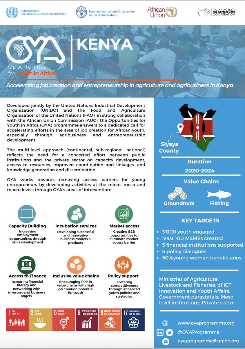 🇰🇪 In #Kenya, @OyaProgramme works to empower #young agripreneurs through: 🖥 Capacity Building 👥 Incubation Services 📊 Market Access 🏦 Access to Finance 🌱 Inclusive Value Chains 🤝 Policy Support More here ➡ bit.ly/3BOEBCn #Africa #Agribusiness #Agriculture #Youth