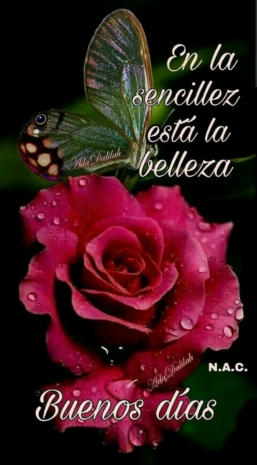 Iralisail. Carballo (@iralisailc) on Twitter photo #RenacimientoDelSur
  <a href="/IralisailC/">Iralisail. Carballo</a> <a href="/ApureHumana/">GESTION HUMANA INIA APURE</a> <a href="/Aolivero2002/">Aiskel Olivero</a> <a href="/jesus372333/">mildre</a> <a href="/EGMorenoR/">Esio Moreno</a> <a href="/Evangel08625120/">🌹Evangelina🌹💞💫💯</a> <a href="/ErikOliver2002/">Erika Olivero</a>  <a href="/twiteroejido/">💯🐦💪juan carlos🇻🇪🥇🐦💯</a>  @nanunsc2 <a href="/Mippcivzla/">MIPPCI</a> <a href="/MirnaGiralit/">Mirna Giralit Olivero</a> <a href="/JhosepTaipan/">@TaipanJhosep</a> <a href="/rosales69/">Edgar.A.R.R</a> <a href="/YarytzaR6/">Yarytza</a> <a href="/magopuki/">Manclar</a> <a href="/TrejoNelvis/">Nelvis</a> <a href="/Nelsontrejo92/">Nelson Trejo</a> <a href="/yoibelin1/">yoibelin</a> 
<a href="/thania81205760/">thania</a> #RenacimientoDelSur
  <a href="/IralisailC/">Iralisail. Carballo</a> <a href="/ApureHumana/">GESTION HUMANA INIA APURE</a> <a href="/Aolivero2002/">Aiskel Olivero</a> <a href="/jesus372333/">mildre</a> <a href="/EGMorenoR/">Esio Moreno</a> <a href="/Evangel08625120/">🌹Evangelina🌹💞💫💯</a> <a href="/ErikOliver2002/">Erika Olivero</a>  <a href="/twiteroejido/">💯🐦💪juan carlos🇻🇪🥇🐦💯</a>  @nanunsc2 <a href="/Mippcivzla/">MIPPCI</a> <a href="/MirnaGiralit/">Mirna Giralit Olivero</a> <a href="/JhosepTaipan/">@TaipanJhosep</a> <a href="/rosales69/">Edgar.A.R.R</a> <a href="/YarytzaR6/">Yarytza</a> <a href="/magopuki/">Manclar</a> <a href="/TrejoNelvis/">Nelvis</a> <a href="/Nelsontrejo92/">Nelson Trejo</a> <a href="/yoibelin1/">yoibelin</a> 
<a href="/thania81205760/">thania</a>