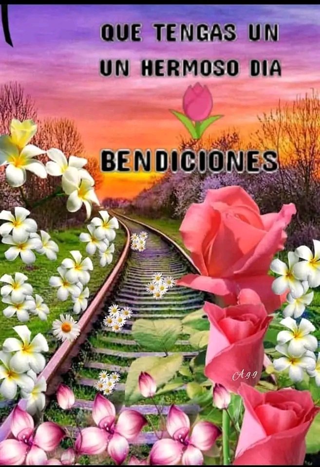 Iralisail. Carballo (@iralisailc) on Twitter photo #RenacimientoDelSur
  <a href="/IralisailC/">Iralisail. Carballo</a> <a href="/ApureHumana/">GESTION HUMANA INIA APURE</a> <a href="/Aolivero2002/">Aiskel Olivero</a> <a href="/jesus372333/">mildre</a> <a href="/EGMorenoR/">Esio Moreno</a> <a href="/Evangel08625120/">🌹Evangelina🌹💞💫💯</a> <a href="/ErikOliver2002/">Erika Olivero</a>  <a href="/twiteroejido/">💯🐦💪juan carlos🇻🇪🥇🐦💯</a>  @nanunsc2 <a href="/Mippcivzla/">MIPPCI</a> <a href="/MirnaGiralit/">Mirna Giralit Olivero</a> <a href="/JhosepTaipan/">@TaipanJhosep</a> <a href="/rosales69/">Edgar.A.R.R</a> <a href="/YarytzaR6/">Yarytza</a> <a href="/magopuki/">Manclar</a> <a href="/TrejoNelvis/">Nelvis</a> <a href="/Nelsontrejo92/">Nelson Trejo</a> <a href="/yoibelin1/">yoibelin</a> 
@thania812057600 #RenacimientoDelSur
  <a href="/IralisailC/">Iralisail. Carballo</a> <a href="/ApureHumana/">GESTION HUMANA INIA APURE</a> <a href="/Aolivero2002/">Aiskel Olivero</a> <a href="/jesus372333/">mildre</a> <a href="/EGMorenoR/">Esio Moreno</a> <a href="/Evangel08625120/">🌹Evangelina🌹💞💫💯</a> <a href="/ErikOliver2002/">Erika Olivero</a>  <a href="/twiteroejido/">💯🐦💪juan carlos🇻🇪🥇🐦💯</a>  @nanunsc2 <a href="/Mippcivzla/">MIPPCI</a> <a href="/MirnaGiralit/">Mirna Giralit Olivero</a> <a href="/JhosepTaipan/">@TaipanJhosep</a> <a href="/rosales69/">Edgar.A.R.R</a> <a href="/YarytzaR6/">Yarytza</a> <a href="/magopuki/">Manclar</a> <a href="/TrejoNelvis/">Nelvis</a> <a href="/Nelsontrejo92/">Nelson Trejo</a> <a href="/yoibelin1/">yoibelin</a> 
@thania812057600