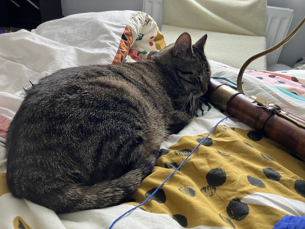 Purrfect excuse to stop practising today 😹