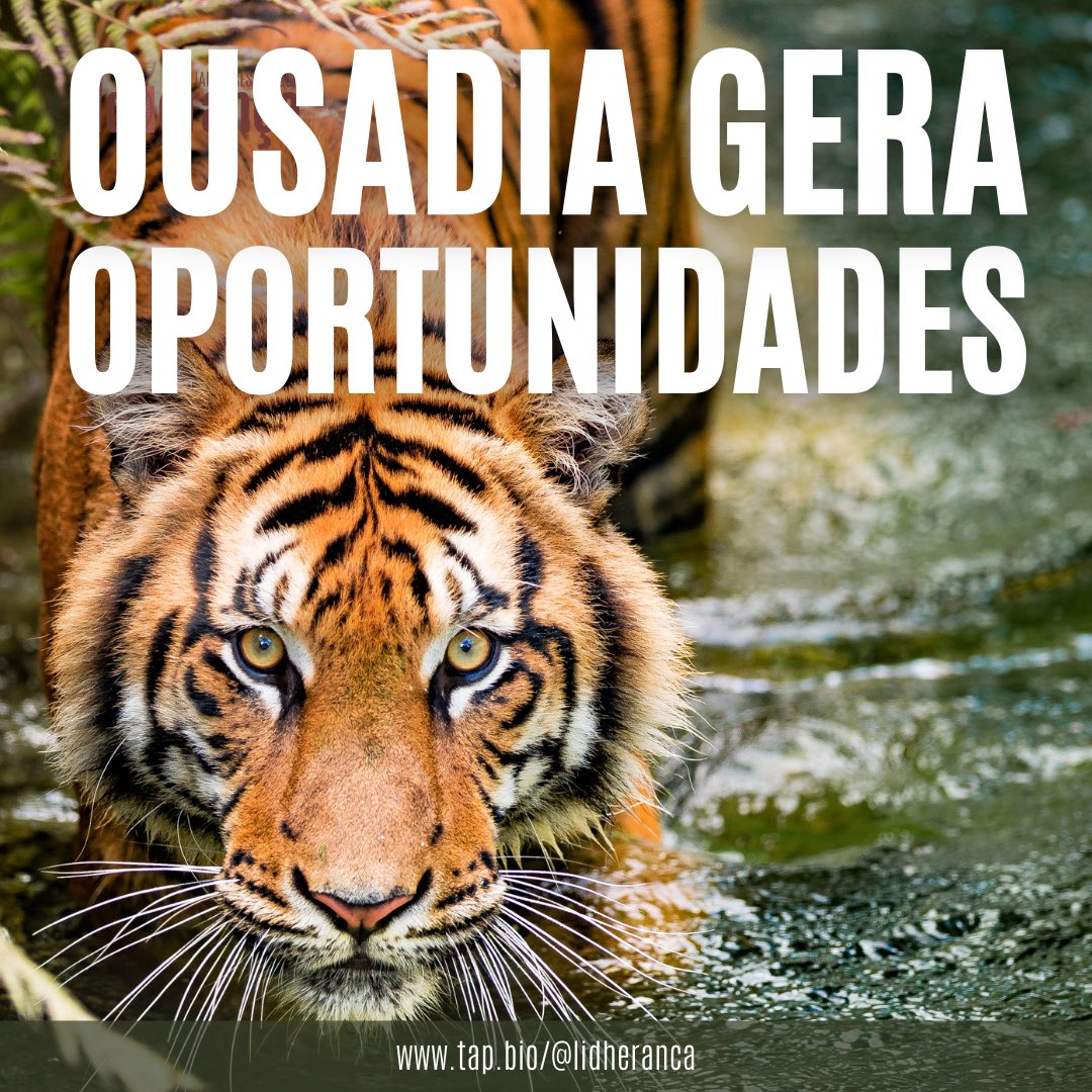 spdanielrodrigu's tweet image. Não espere as coisas caírem no seu colo. Um pouco de &quot;instinto selvagem&quot; ajuda muito a abrir portas!

#negociadores #ousadia #motivacao