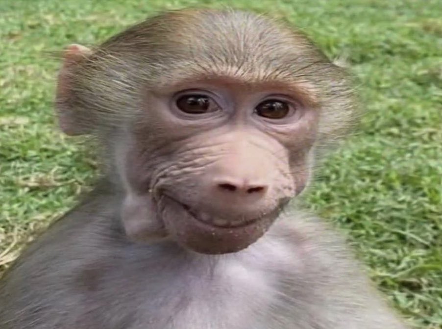 shftwt's tweet image. well hi it’s been a while …