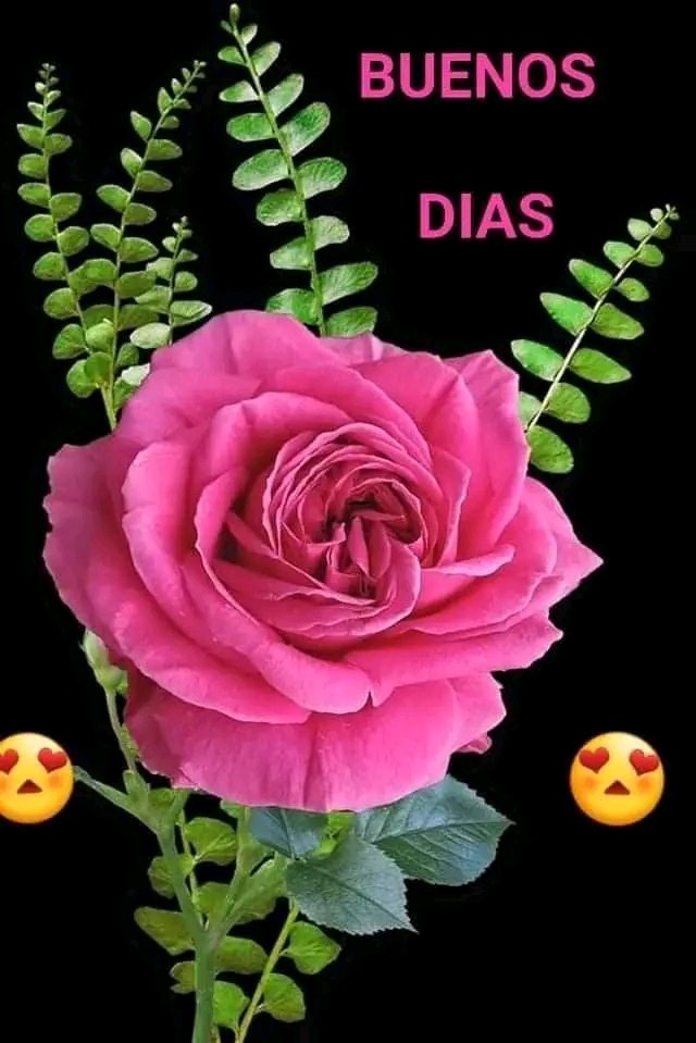Iralisail. Carballo (@iralisailc) on Twitter photo #RenacimientoDelSur
  <a href="/IralisailC/">Iralisail. Carballo</a> <a href="/ApureHumana/">GESTION HUMANA INIA APURE</a> <a href="/Aolivero2002/">Aiskel Olivero</a> <a href="/jesus372333/">mildre</a> <a href="/EGMorenoR/">Esio Moreno</a> <a href="/Evangel08625120/">🌹Evangelina🌹💞💫💯</a> <a href="/ErikOliver2002/">Erika Olivero</a>  <a href="/twiteroejido/">💯🐦💪juan carlos🇻🇪🥇🐦💯</a>  @nanunsc2 <a href="/Mippcivzla/">MIPPCI</a> <a href="/MirnaGiralit/">Mirna Giralit Olivero</a> <a href="/JhosepTaipan/">@TaipanJhosep</a> <a href="/rosales69/">Edgar.A.R.R</a> <a href="/YarytzaR6/">Yarytza</a> <a href="/magopuki/">Manclar</a> <a href="/TrejoNelvis/">Nelvis</a> <a href="/Nelsontrejo92/">Nelson Trejo</a> <a href="/yoibelin1/">yoibelin</a> 
<a href="/thania81205760/">thania</a> #RenacimientoDelSur
  <a href="/IralisailC/">Iralisail. Carballo</a> <a href="/ApureHumana/">GESTION HUMANA INIA APURE</a> <a href="/Aolivero2002/">Aiskel Olivero</a> <a href="/jesus372333/">mildre</a> <a href="/EGMorenoR/">Esio Moreno</a> <a href="/Evangel08625120/">🌹Evangelina🌹💞💫💯</a> <a href="/ErikOliver2002/">Erika Olivero</a>  <a href="/twiteroejido/">💯🐦💪juan carlos🇻🇪🥇🐦💯</a>  @nanunsc2 <a href="/Mippcivzla/">MIPPCI</a> <a href="/MirnaGiralit/">Mirna Giralit Olivero</a> <a href="/JhosepTaipan/">@TaipanJhosep</a> <a href="/rosales69/">Edgar.A.R.R</a> <a href="/YarytzaR6/">Yarytza</a> <a href="/magopuki/">Manclar</a> <a href="/TrejoNelvis/">Nelvis</a> <a href="/Nelsontrejo92/">Nelson Trejo</a> <a href="/yoibelin1/">yoibelin</a> 
<a href="/thania81205760/">thania</a>