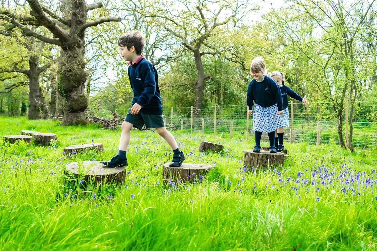 It is such a joy to watch the pupils enjoy the greenery of the Ballard Estate while playing in the spring sunshine.
#BlueBells #Spring #Summer #Sunshine #PrePrep #MadeAtBallard #LoveLearning #TheRightPath