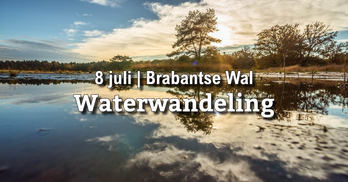 🥾 Wij organiseren samen met o.a. <a href="/ivngroenezoom/">ivngroenezoom</a> en @Natuurmonument een informatieve waterwandeling door de prachtige en kwetsbare #natuur van de Brabantse Wal. Wandel je mee? brabantsemilieufederatie.nl/project/8-juli… 

#water #droogte