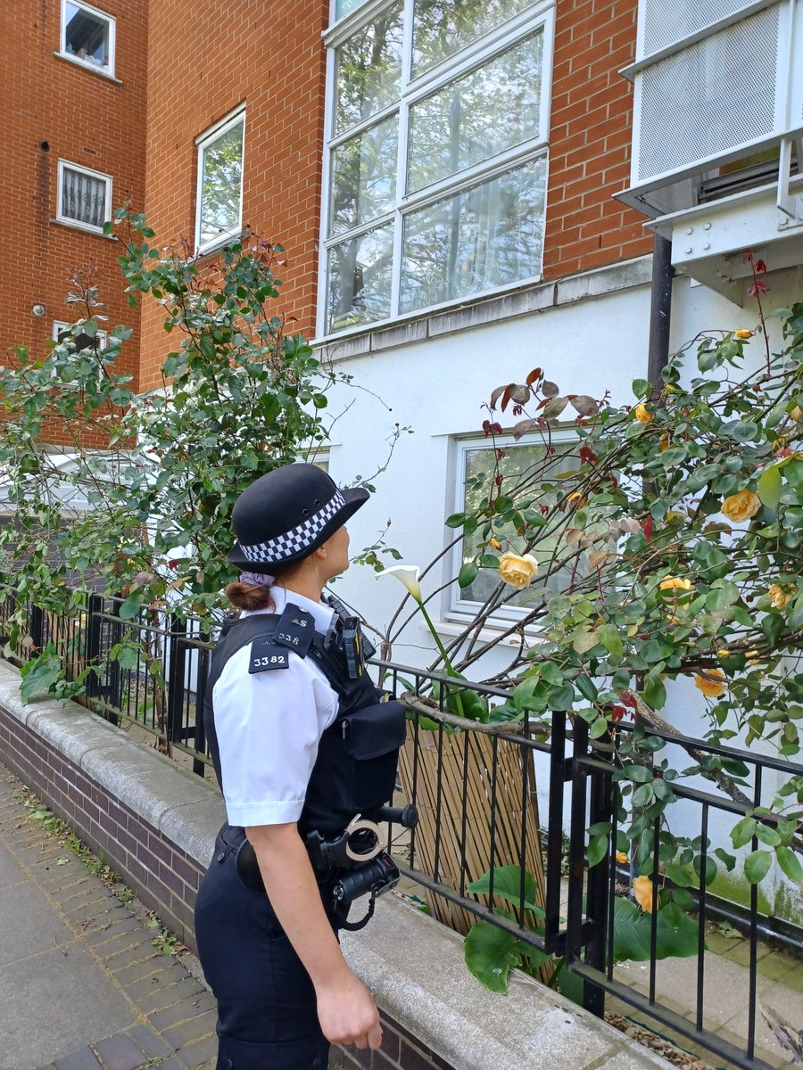 Peckham SNT are on constant patrols at NEVILLE CLOSE SE15 , LEONTINE CLOSE  completing weapon sweeps .
Today , We were doing  Reassurance Patrols at  Georges way SE15 for the next 3 days . 

Whenever you see us in your Neighbourhood Please feel free to say hello .