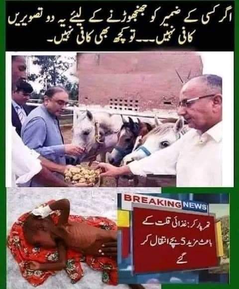 Mir Babar (@MirBabarMushtaq) on Twitter photo 2023-05-30 13:23:19 زرداری کے گھوڑے سیب کھائیں اور تھرپارکر سندھ کے بچے بھوک سے مر جائیں یہ ہے بلاول بھٹو کا دیہی سندھ اور اب وہ کراچی کو بھی اسی حال تک پہنچانا چاہتا ہے مئیر کے انتخاب میں دھاندلی ہوئی تو اب کے برس یہ اہل کراچی اپنا پورا حق لیں گے۔ حافظ تیار ہے اور کراچی والے؟ #امیدہےجماعت_اسلامی زرداری کے گھوڑے سیب کھائیں اور تھرپارکر سندھ کے بچے بھوک سے مر جائیں یہ ہے بلاول بھٹو کا دیہی سندھ اور اب وہ کراچی کو بھی اسی حال تک پہنچانا چاہتا ہے مئیر کے انتخاب میں دھاندلی ہوئی تو اب کے برس یہ اہل کراچی اپنا پورا حق لیں گے۔ حافظ تیار ہے اور کراچی والے؟ #امیدہےجماعت_اسلامی