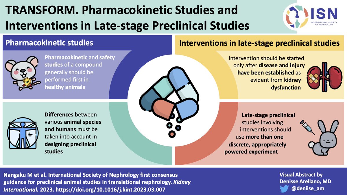 Infographics of the summary of all recommendations for preclinical animal studies in translational nephrology ➡️ Available for download: bit.ly/3OMtHVl