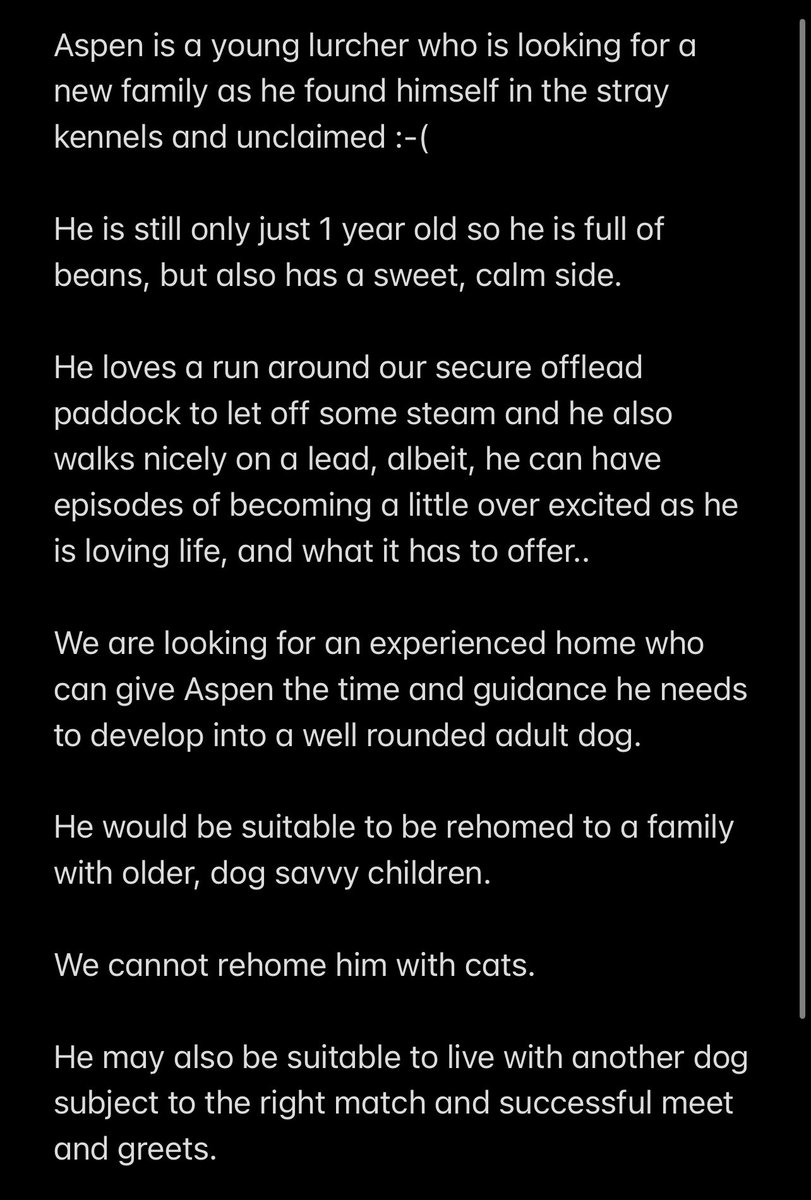 Aspen is a young lurcher who is looking for a new family as he found himself in the stray kennels and unclaimed :-(
(More details in photos) 

If you can give this lovely, young lad a home to call his own, please contact us between 11-2pm any day, on 01430 423986.

#adoptdontshop