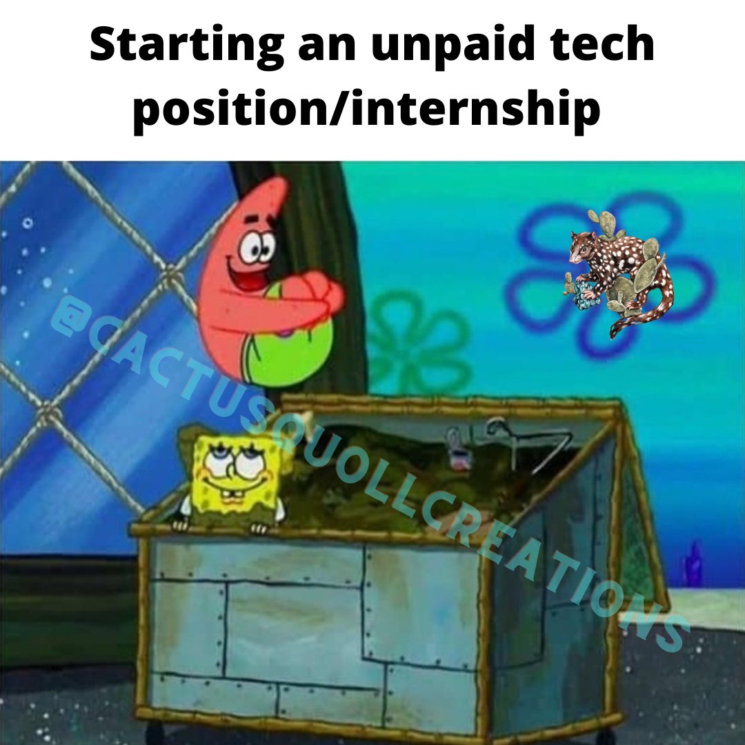 Gael Sanchez (she/her) (@cactusquoll) on Twitter photo 