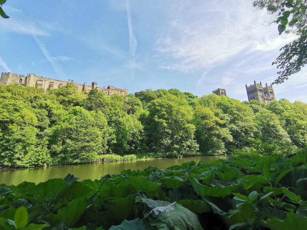 Hello, long overdue #NetworkNorthEast how was everyone's bank holiday? We had a fantastic day out to #Durham yesterday, a weekend full of #bbq & birthday celebrations! Any interesting #culture #heritage days out amongst the @twitter crowd?