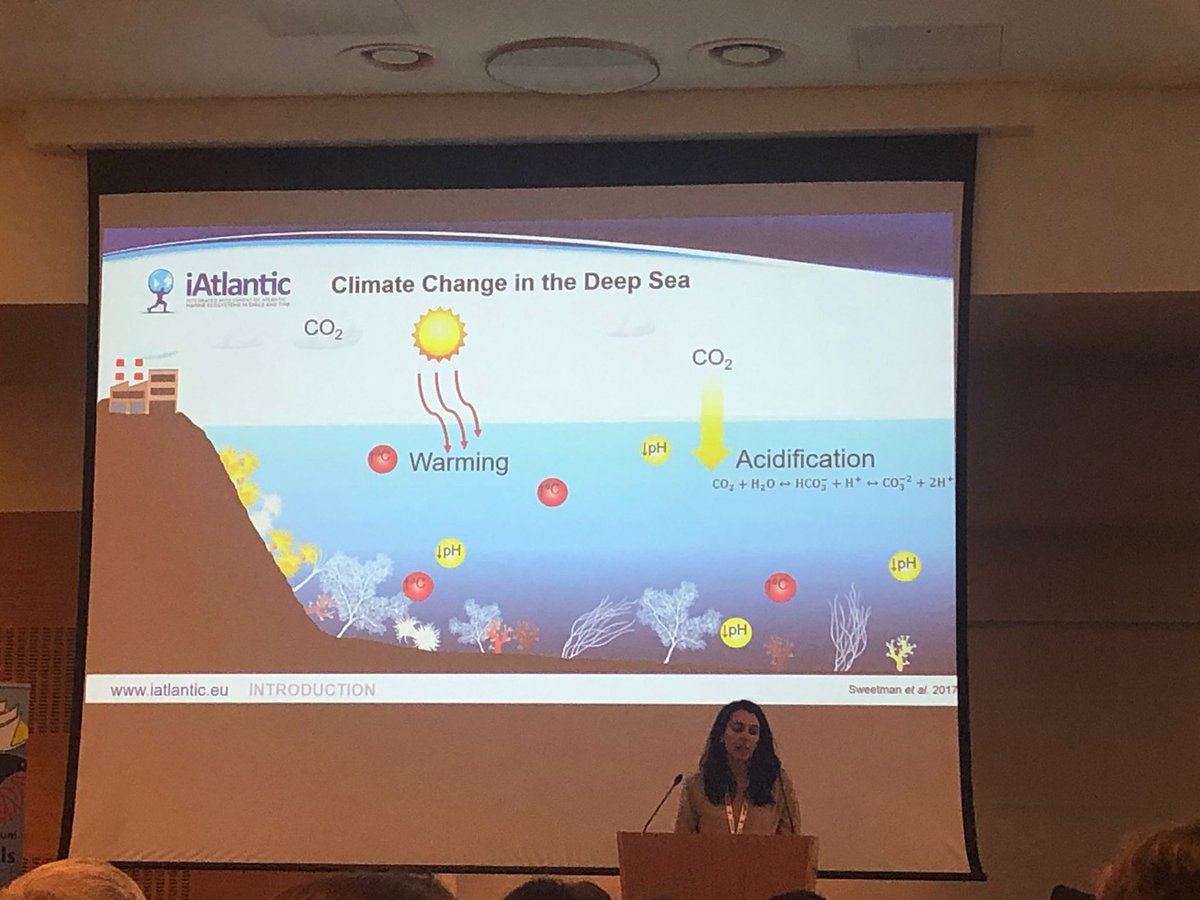 deepsea_ieocsic's tweet photo. Yesterday @cgutierrezarate presented at @isdsc8 the preliminary results of the experiment assesing the single and multiple effects of warming, acidification and deoxygenation in the ecophysiology of Dendrophyllia cornigera
@iAtlanticEU #EU2020 @mc2coruna @UniBarcelona https://t.co/6UXkqPi92c