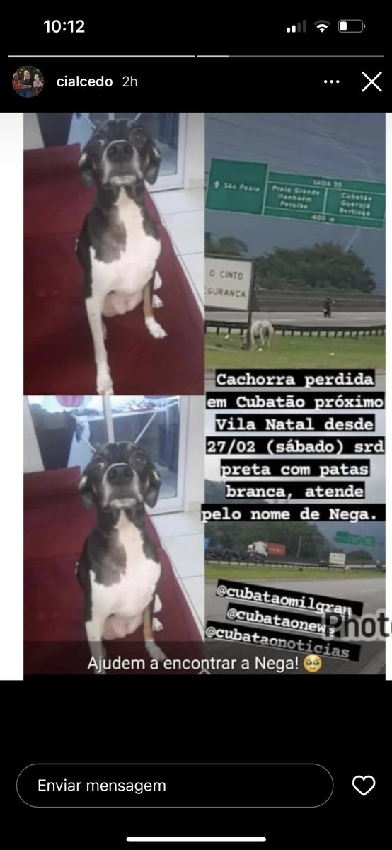 _car0lzinha's tweet image. Gente, a cachorrinha do meu primo estava sendo adestrada em Cubatão, próximo à Vila Natal e fugiu! Quem puder me ajudar, dá RT 😢