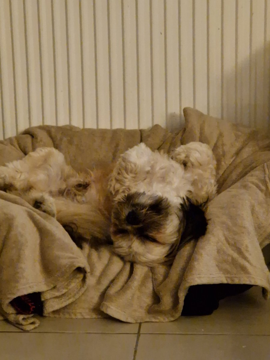 Matt Matt tweet media