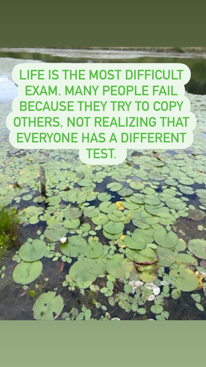 Life is the most difficult exam. Many people fail because they try to copy others, not realizing that everyone has a different test.