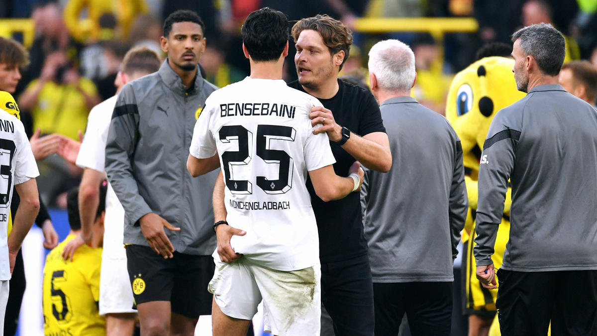BVB Newsblog tweet media