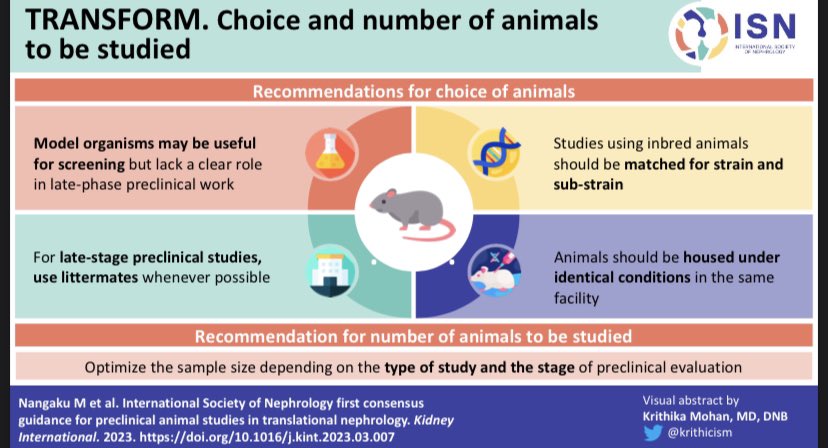 Choice and number of animals studied #ISNWEBINAR
