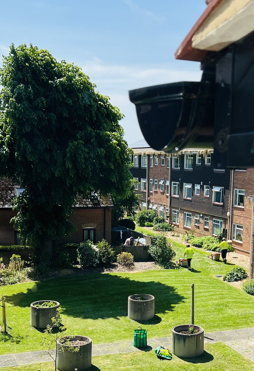 paulamoz's tweet photo. Love the smell of cut grass ☀️😍can you smell it ? 🌱🌱🌱
#summer #cutgrass #tuesdayvibe https://t.co/sGcdfRtJTN
