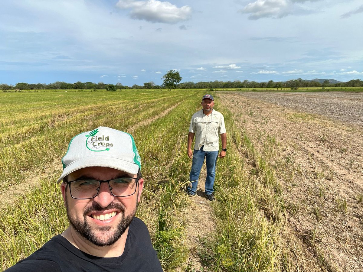 FLAR🌾🍚 (@arrozflar) on Twitter photo 🧵El consultor del Programa de #Agronomía <a href="/arrozFLAR/">FLAR🌾🍚</a>, <a href="/alencar_zanon/">Alencar Junior Zanon</a>, se encuentra en #Panamá🇵🇦, visitando a <a href="/conagrosemillas/">conagrosemillas</a> y al <a href="/IDIAP_PA/">IDIAP Panamá</a>, nuestros miembros en ese país, con el objetivo de brindarles asesoría en rotación de cultivos🌾🔄🌱👇 🧵El consultor del Programa de #Agronomía <a href="/arrozFLAR/">FLAR🌾🍚</a>, <a href="/alencar_zanon/">Alencar Junior Zanon</a>, se encuentra en #Panamá🇵🇦, visitando a <a href="/conagrosemillas/">conagrosemillas</a> y al <a href="/IDIAP_PA/">IDIAP Panamá</a>, nuestros miembros en ese país, con el objetivo de brindarles asesoría en rotación de cultivos🌾🔄🌱👇