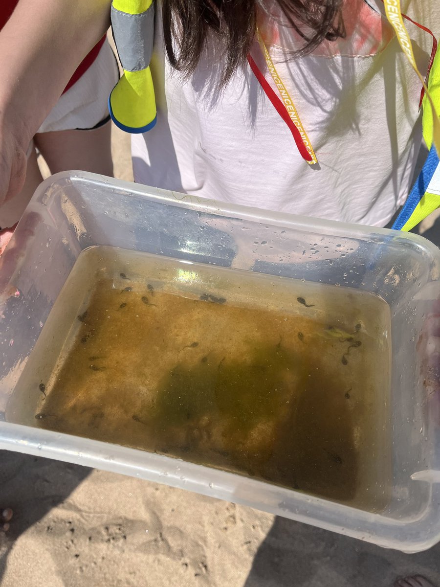 Skene Square School tweet media