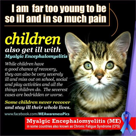 30/

May is Myalgic Encephalomyelitis (M.E.) Awareness Month. 

You can help by retweeting and/or liking this image.

Day 30

#MyalgicEncephalomyelitis #ChronicFatigueSyndrome #MEcfs #CFS #MyalgicE #PwME #CFSME #MEeps