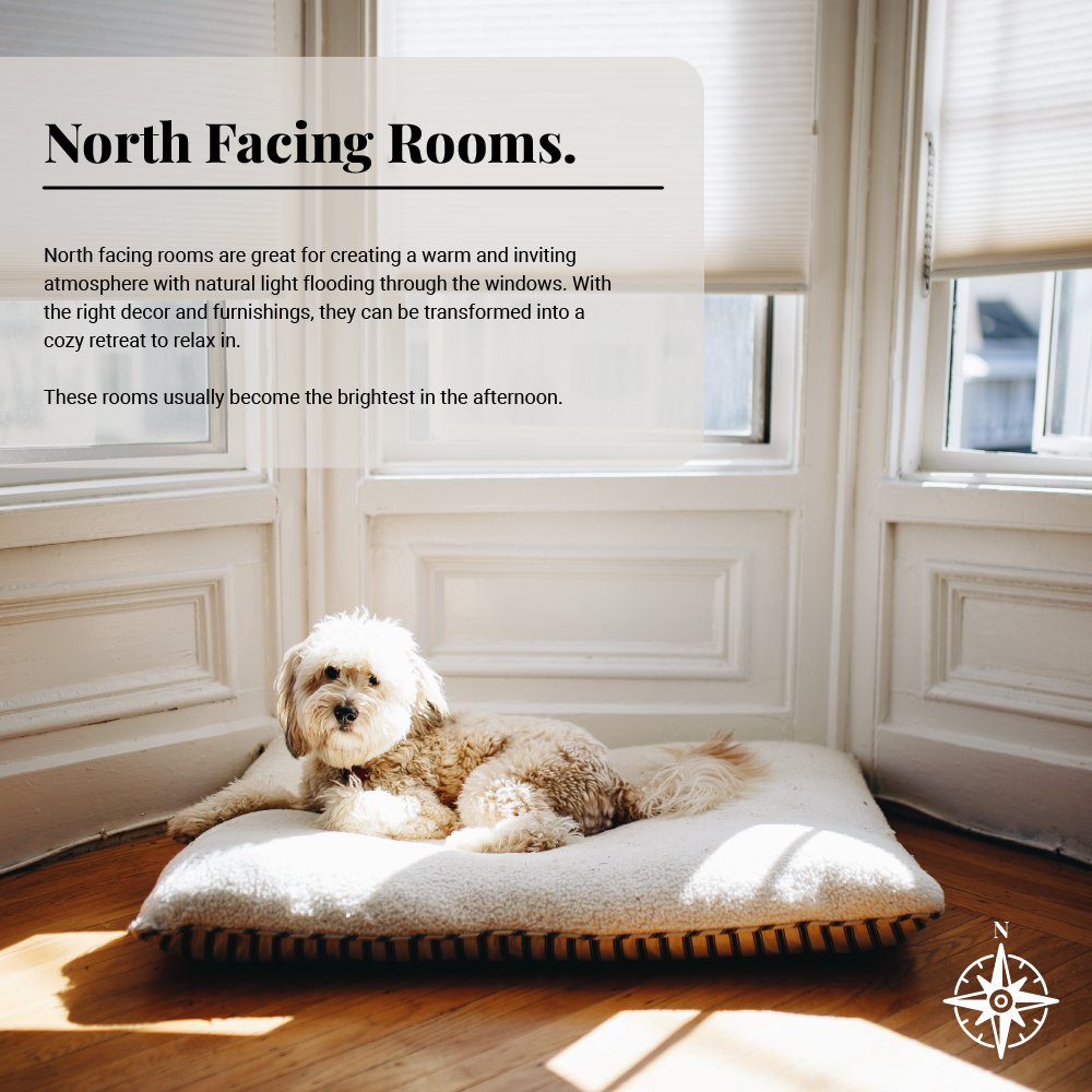Brighten up your day with north-facing rooms! North-facing rooms receive more natural light throughout the day.
#TheMillerGroupRealEstateProfessionals #BerkshireHathawayHomeServices #Homesforsale #YourRealtorOkemos #RealEstateOkemos #BHHSTomieRainesRealtorsShelby
