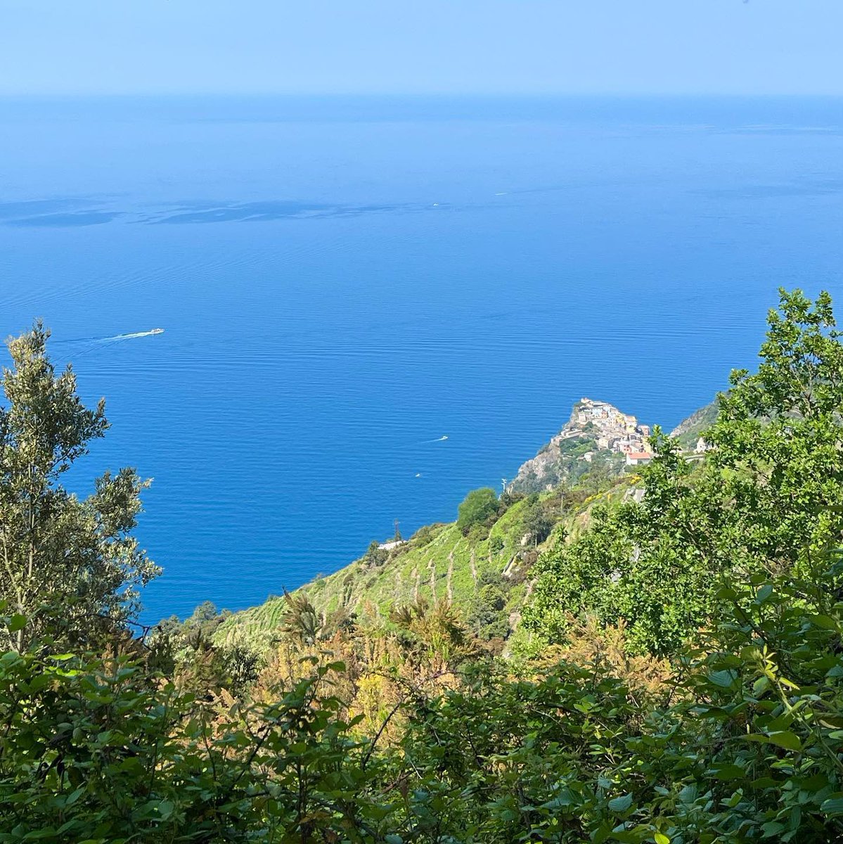 CinqueterreTrek's tweet photo. Trail 6M views
#corniglia
#cinqueterre
#trails
#trailrecovery
#trailmaintenance
#montelecrocitrailpark
#seaview
#spring
#primavera https://t.co/IAoRR3bcMe