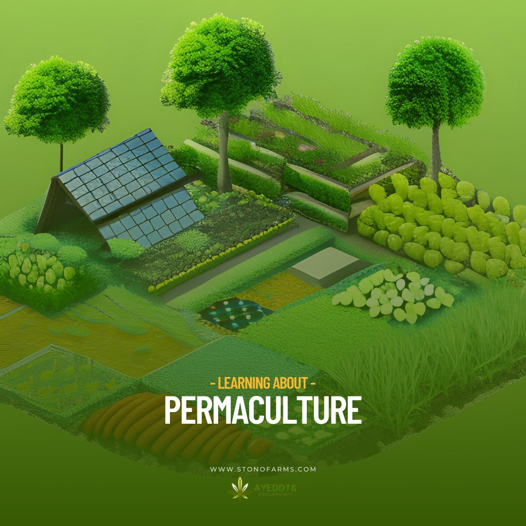 sipetanimodern's tweet photo. Are you ready to embrace a holistic approach that harmonizes with nature? Permaculture is the key! It's all about sustainability, resilience, and working WITH the environment. 🌿✨

#Permaculture #Sustainability #HarmonyWithNature #RegenerativeDesign #ResilientCommunities https://t.co/6JnWqJ1gJ6