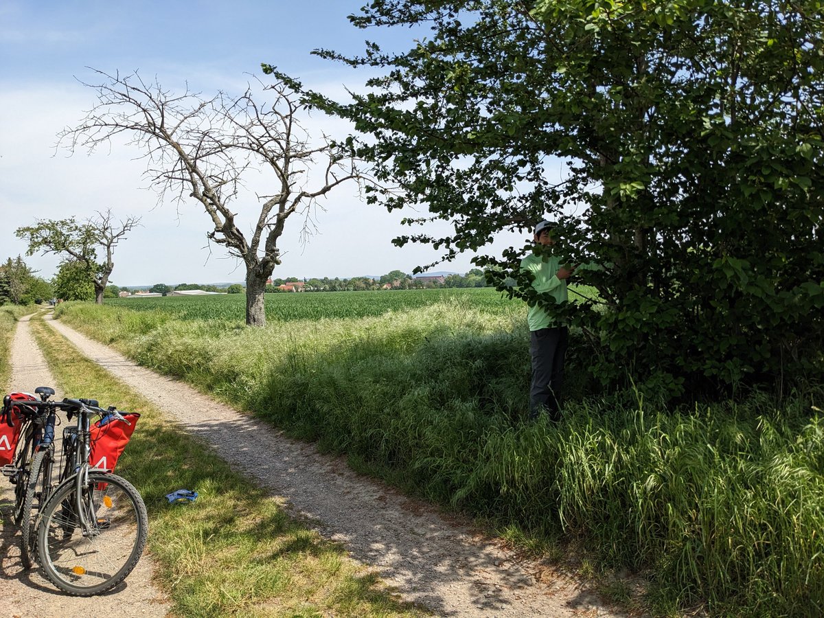 Computational Landscape Ecology tweet media