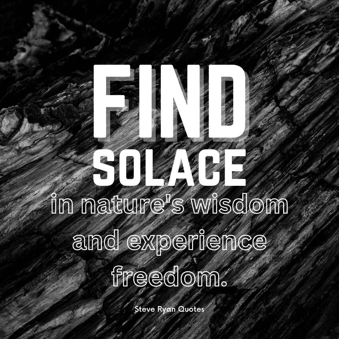 Find solace in nature's wisdom and experience freedom. #SolaceInNature #ExperienceFreedom