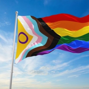 YRDSB's tweet image. ICYMI: All #YRDSB schools and workplaces will be flying the Progressive Pride flag throughout the month of June in honour of #PRIDEmonth! 🏳️‍🌈🏳️‍⚧️

We look forward to celebrating the 2SLGBTQI+ community! #InspirePrideYRDSB