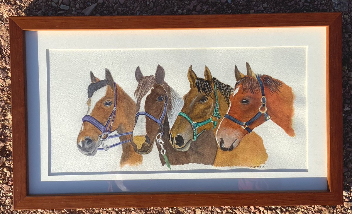 Christo71243889's tweet photo. This piece was accepted into a show that will be held at Sheehan Winery in Albuquerque, NM through June. #watercolor #horseart #wineryartshow #newmexicoart https://t.co/RUAeZKNL5P