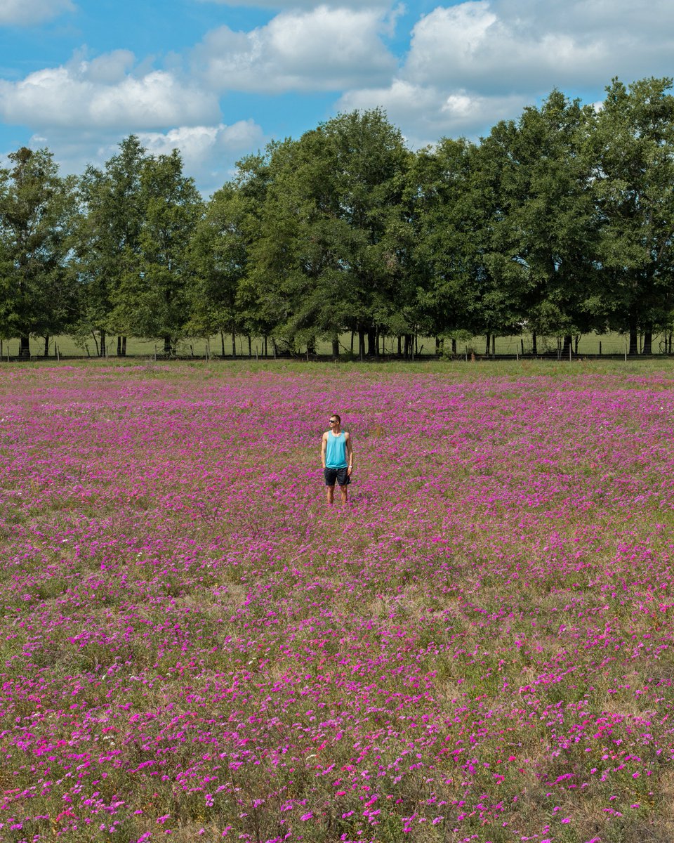 A photo dump worth a thousand wildflowers. 🌸🌸🌸

📸: <a href="/asenseofhuber/">Kyle Huber</a>
📍Getaway Gilchrist Springs

#getawayhouse #morefreetime #tinycabin #escapetonature