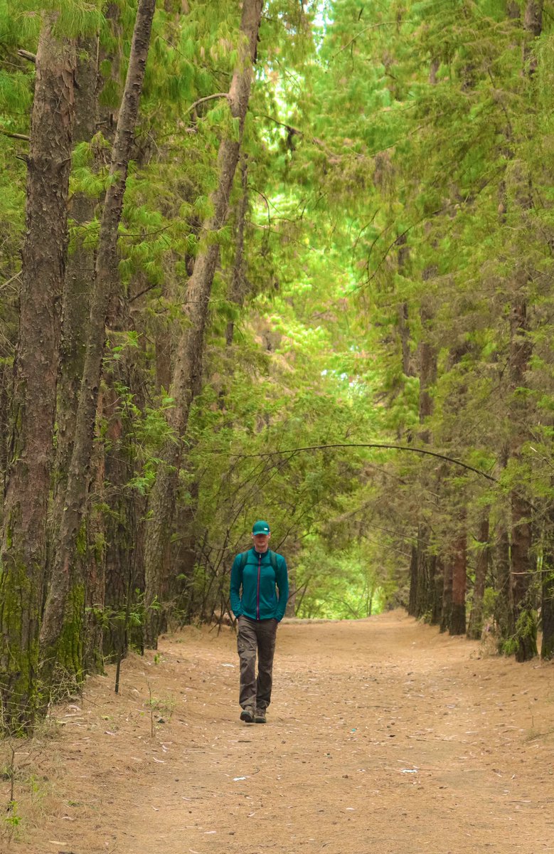 VisitOromia's tweet photo. #Travelling to unknown places, exploring new cultures, &amp; embarking on new adventures all on your own lends a touch of magic to each destination &amp; each experience; it lets you step out of your comfort zone,connect with like-minded travellers, &amp; become a part of a global community. https://t.co/7WTyFvliye
