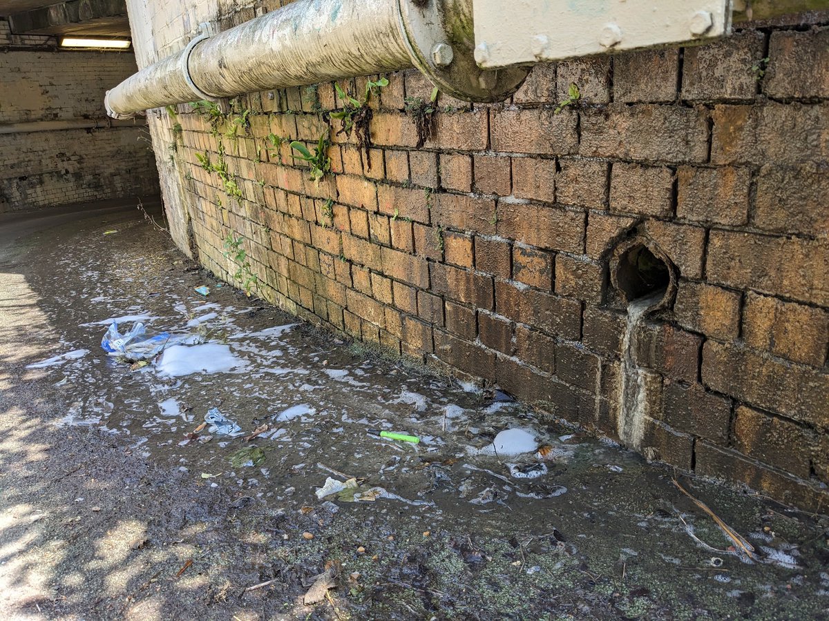 This lovely frothy effluent has been leaking through the Penstock Foot Tunnel for weeks now. Maybe @networkrail (it's coming from their land) would like to hurry up and finally get this sorted.