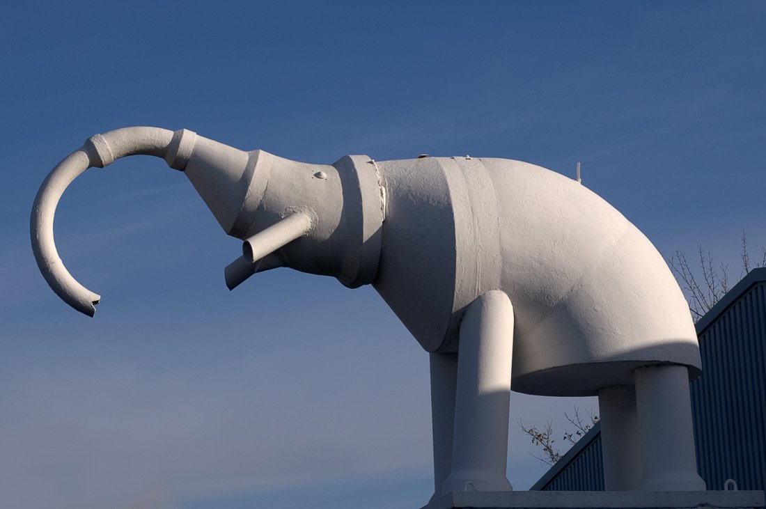SurreyLibraries's tweet photo. FUN FACT:

Originally created by Barbara Jones for Trollope &amp; Colls for the 1963 Lord Mayors Show, this Concrete Elephant sculpture was installed at the entrance to their yard off the A30 in Camberley in 1964 and has been a well-loved local landmark since it's arrival.

#LCHM https://t.co/3MotVZeXmh