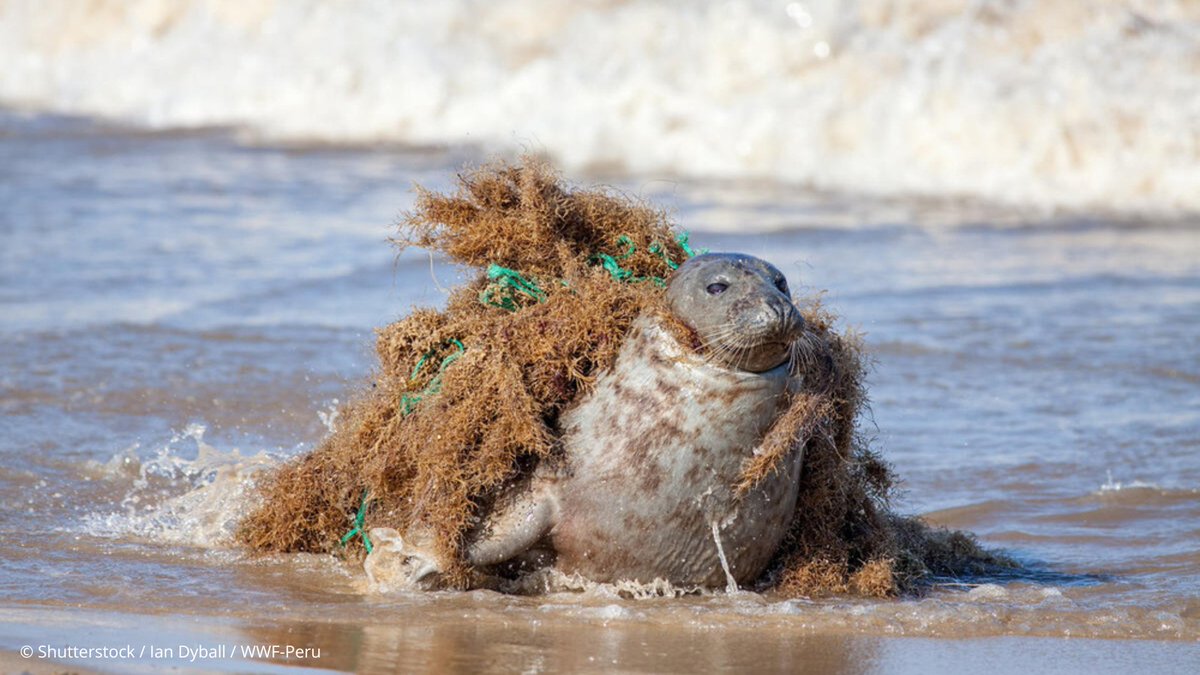 RT if you want a global #PlasticsTreaty that will #StopPlasticPollution!