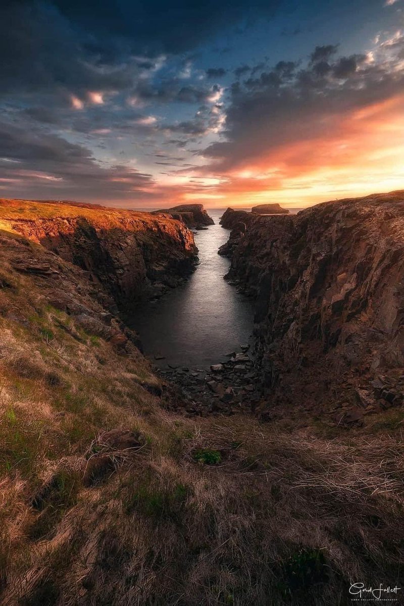 Gord Follett Photography tweet media