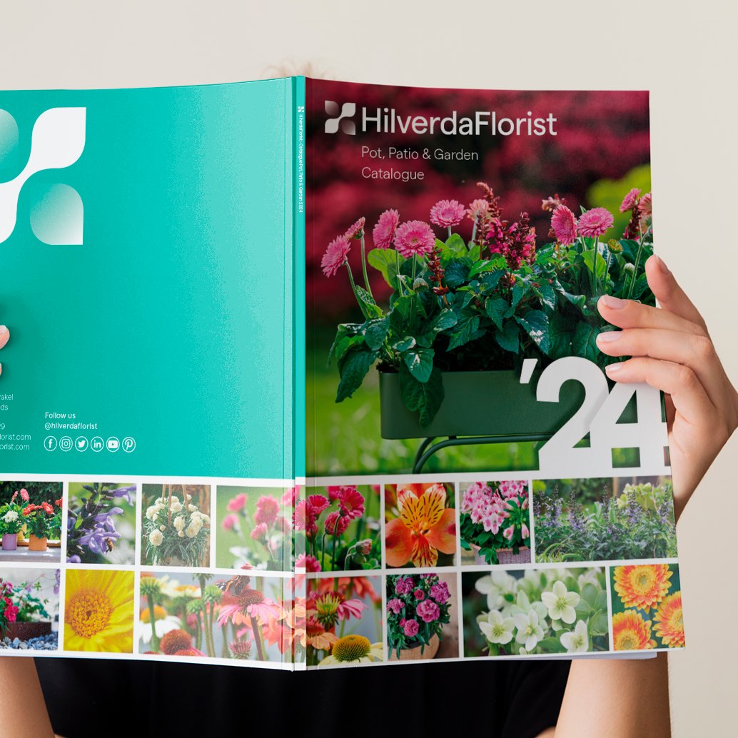 HilverdaFlorist launches the 2024 Pot, Patio &amp; Garden catalogue presenting a commercial assortment in young plants and starting materials for #Alstroemeria, #Dianthus, #Echinacea, #Gerbera, #Helleborus, and #Salvia.

hilverdaflorist.com/news-item/new-…