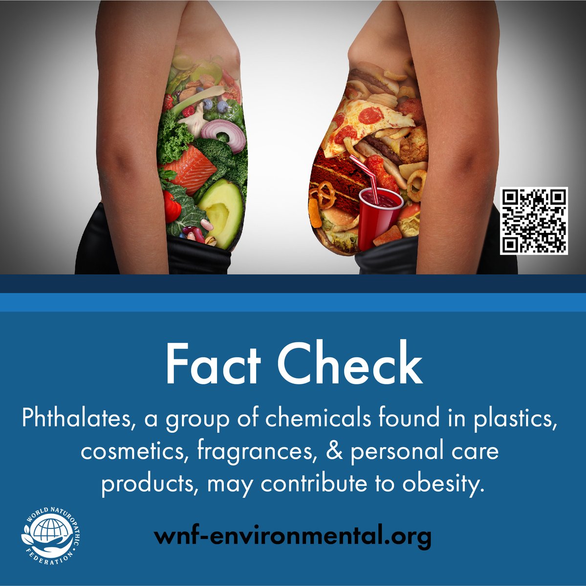 wnf_info's tweet photo. #Phthalates, a group of chemicals that are used as plasticisers, solvents, & fixatives in a variety of products, including plastics, cosmetics💄, fragrances💐, & personal care products🧴, may contribute to obesity.
🔬https://t.co/WsNrDZsory
#EnvironmentalHealthWNF https://t.co/lMd1cWbBJH