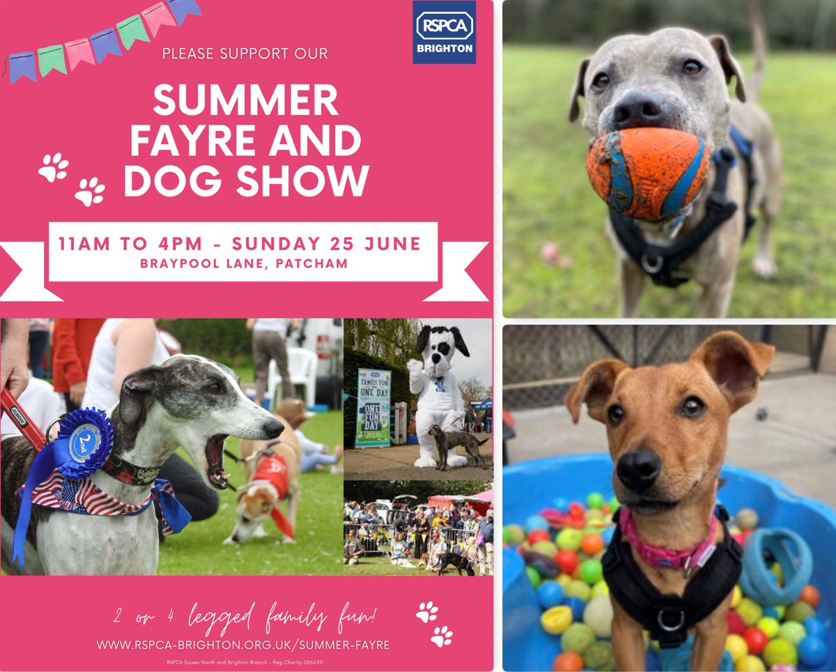 Marc Abraham OBE (@marcthevet) on Twitter photo DOG SHOW: Join me at <a href="/RSPCABrighton/">RSPCA Brighton</a>'s Summer Fayre on Sun 25 June where I'll be doing some dog show judging & giving a talk. Plus, check out Agility Area, Temptation Alley, tennis ball pools & charity stall shopping village! More info & register: rspca-brighton.org.uk/summer-fayre/ #Brighton DOG SHOW: Join me at <a href="/RSPCABrighton/">RSPCA Brighton</a>'s Summer Fayre on Sun 25 June where I'll be doing some dog show judging & giving a talk. Plus, check out Agility Area, Temptation Alley, tennis ball pools & charity stall shopping village! More info & register: rspca-brighton.org.uk/summer-fayre/ #Brighton