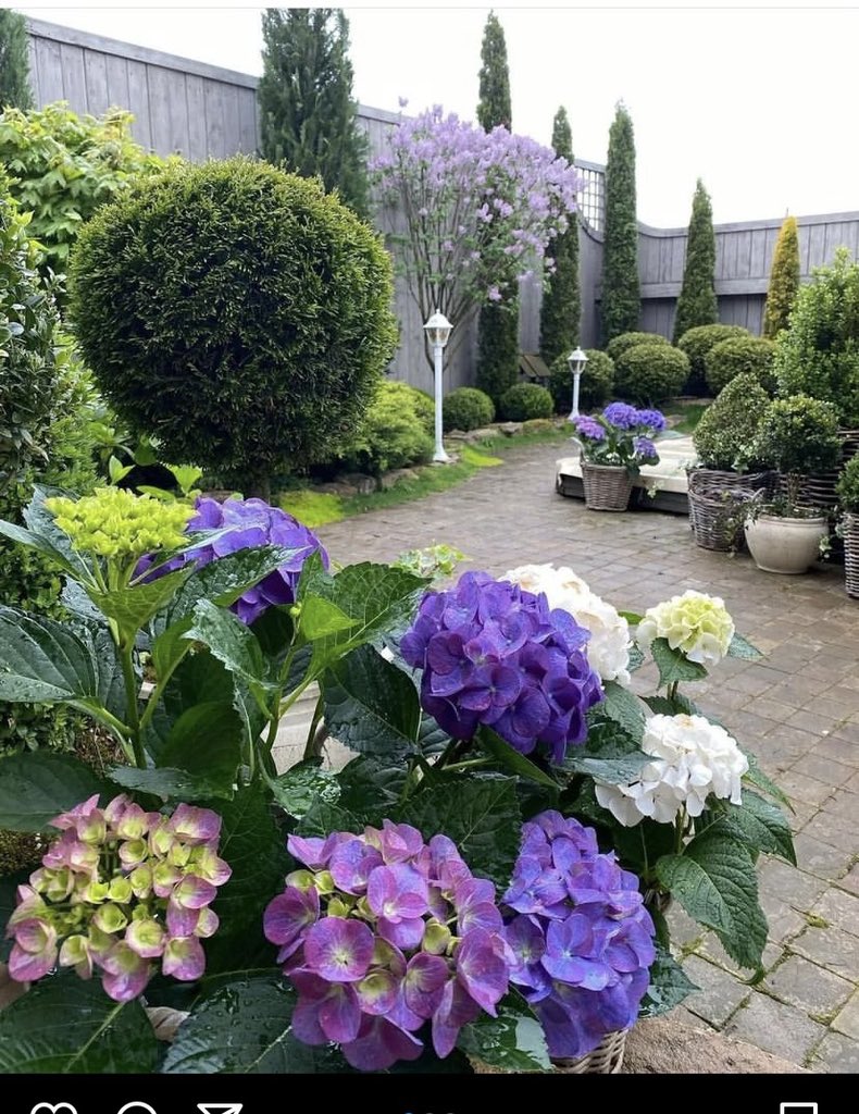 Magical Garden🥰

Image courtesy: @_cozy_garden_

#finelineslandscaping #gardenlovers #gardendesign #hydrangea #hydrangealove #flowering #flower #gardenflowers #gardeninspo #homeandgarden #nantucket #instagarden #instagardenlovers