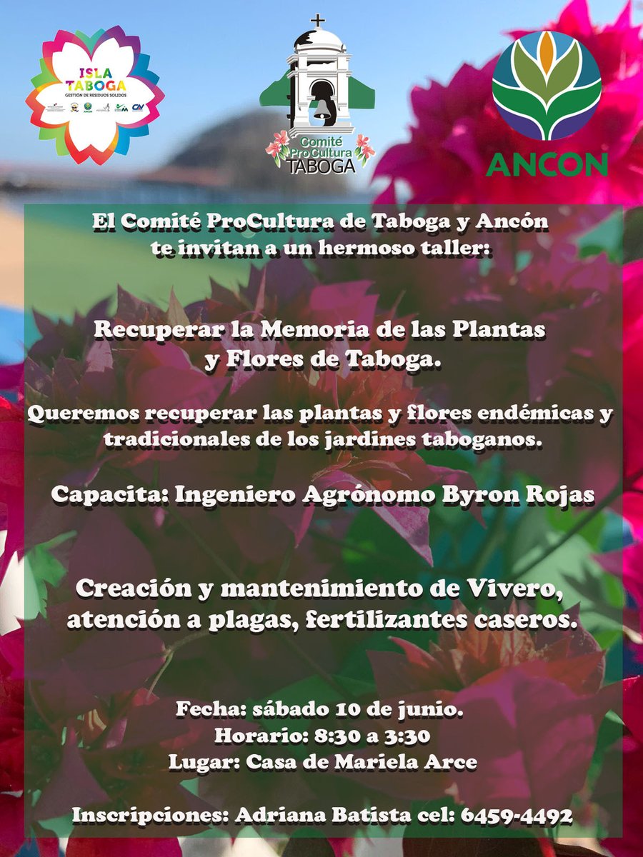 Taboga Panamá 🇵🇦 tweet media