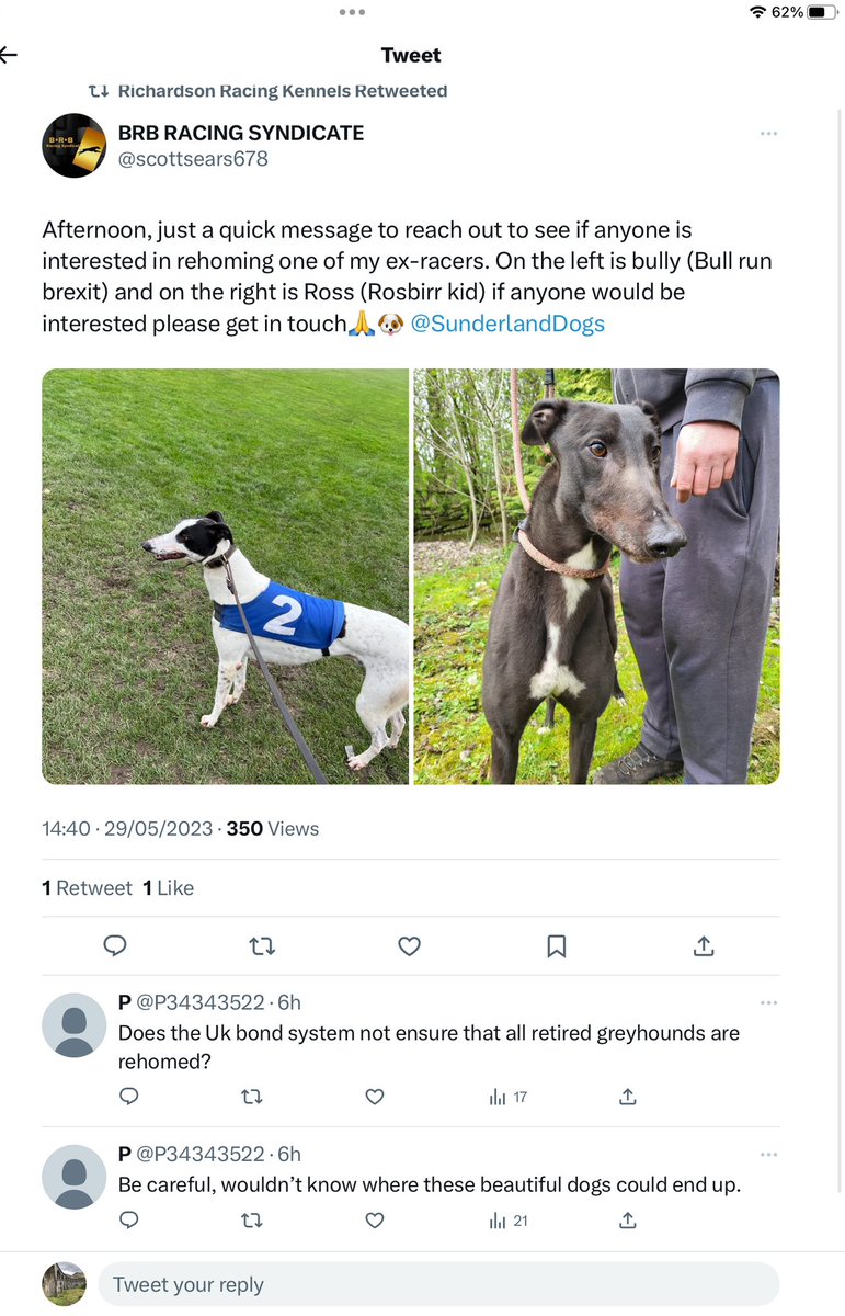 Ex racing greyhound  off loaded on to Twitter by a syndicate for homing. @GreyhoundBoard what are you doing about this. @defra @CommonsEFRA 
#CutTheChase