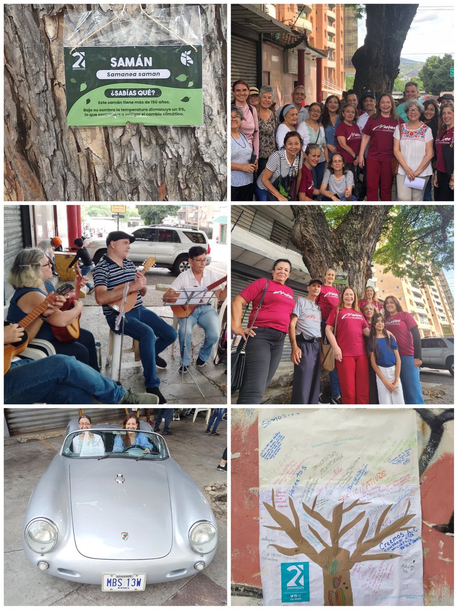 asoamigos2k's tweet image. Este sábado 27 se llevó a cabo el homenaje a nuestro Samán centenario con el apoyo de organizaciones, comercios y vecinos de la zona. 
Agradecemos la presencia  de @ensambleprofesousa, a la Comisión de Ecología y Ambiente municipio Sucre con @ROMMELMOROT1 y @Kety Sanchez,