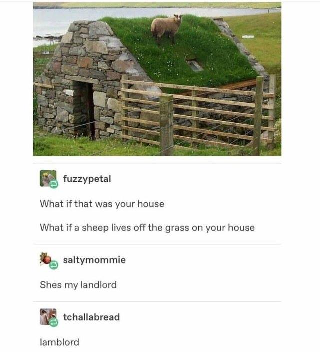 WholesomeMeme's tweet photo. https://t.co/6UWrr6K8gA