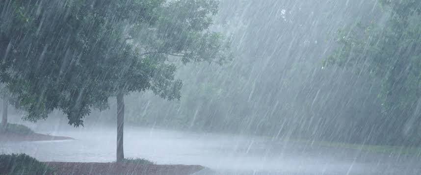 supabhova's tweet photo. DSTV - when it rains, it pause. https://t.co/FPOuM2S9xb