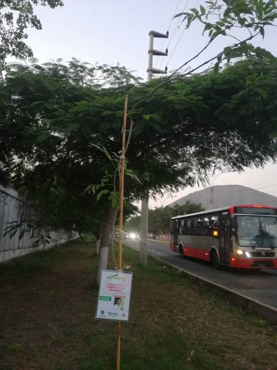 gogreen_peru's tweet photo. Gracias Daniel Villegas por adoptar un 🌳 en la 3era campaña de arborización alrededor del 🏟MonumentalU

@UNALM_online
@Universitario
@MinamPeru
@MuniLima 
@MinCulturaPe
@SerforPeru

#PlantaUnArbol #SiembraFuturo #GoGreenPeru #AdoptaUnArbol #EstadioMonumentalU https://t.co/O2DznWRHrO